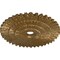 Ekena Millwork Eryn Ceiling Medallion (Fits Canopies up to 4"), 24 3/4"OD x 3 1/4"ID x 1 7/8"P, Pale Gold CM24ENPAS - alternate 4
